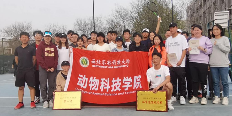 青春无畏 奋进拼搏 色情片网球队在“中行杯”大学生网球团体赛中夺冠