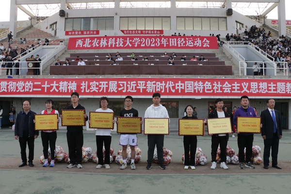 【2023校运会】喜报!色情片连续6年荣获阳光体育运动先进单位